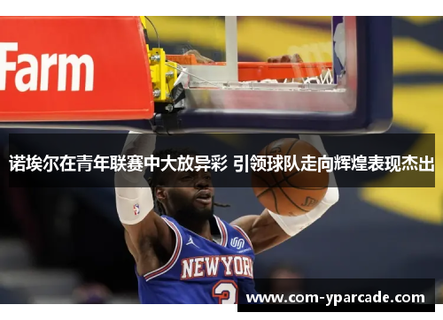 诺埃尔在青年联赛中大放异彩 引领球队走向辉煌表现杰出