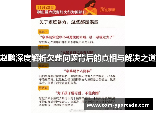 赵鹏深度解析欠薪问题背后的真相与解决之道