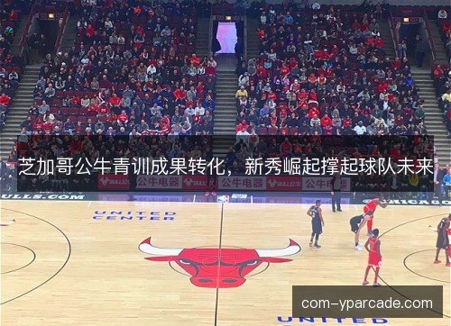芝加哥公牛青训成果转化，新秀崛起撑起球队未来